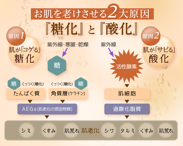 銀座シモン化粧品 フローラ】シモン エスラスエフェクトマスク 6枚
